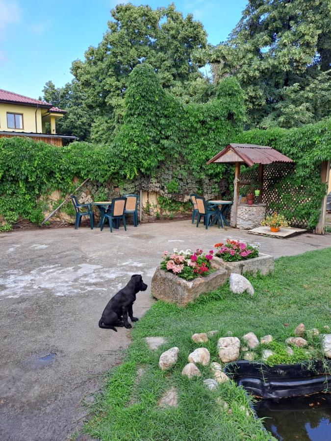 Къща За Гости -Хт Svilengrad Exterior foto